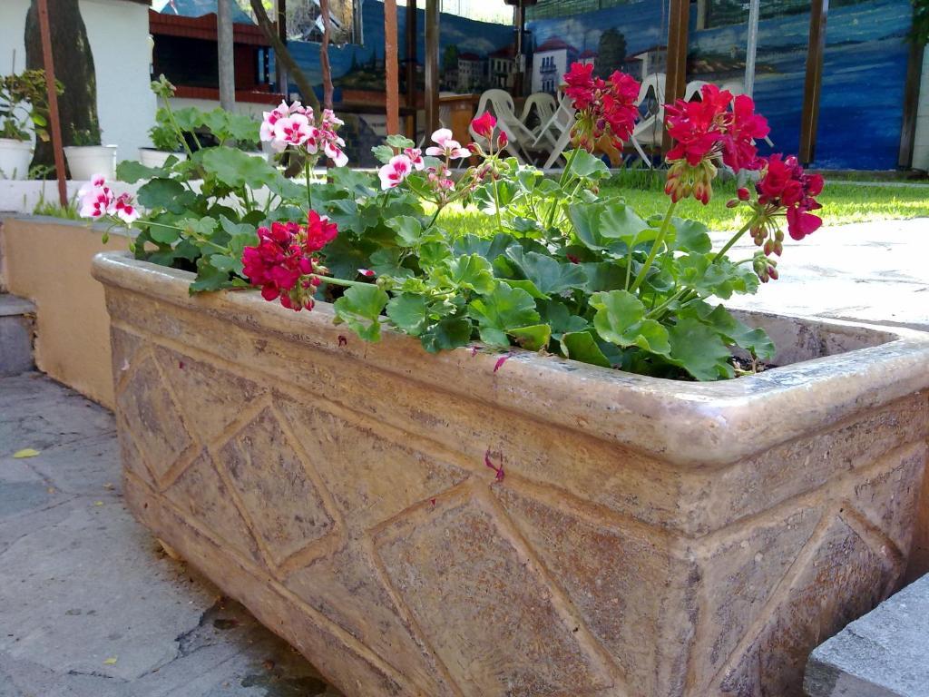 نيا رودا Hotel Alexandra المظهر الخارجي الصورة